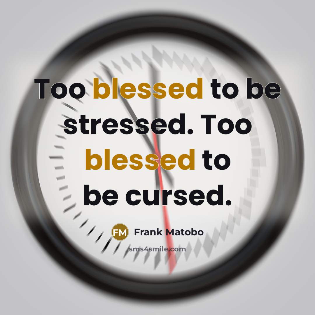 “Too blessed to be stressed. Too blessed to be cursed.” quote by Frank Matobo
