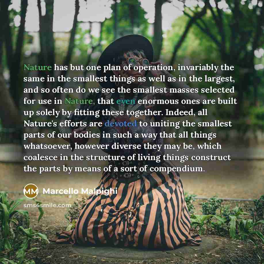 “Nature has but one plan of operation, invariably the same in the smallest things as well as in the largest, and so often do we see the smallest masses selected for use in Nature, that even enormous ones are built up solely by fitting these together. Indeed, all Nature's efforts are devoted to…” quote by Marcello Malpighi