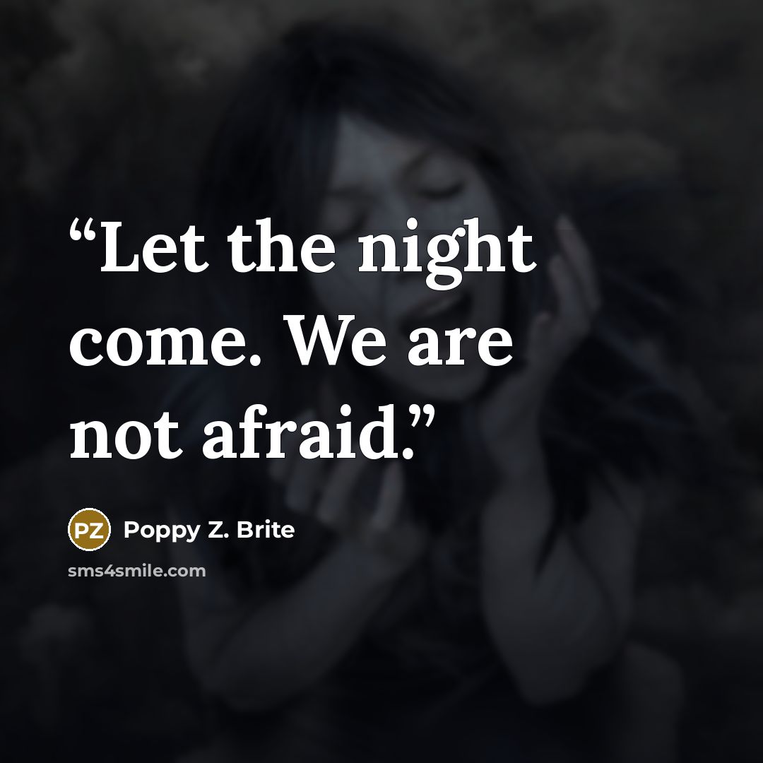 “Let the night come. We are not afraid.” quote by Poppy Z. Brite