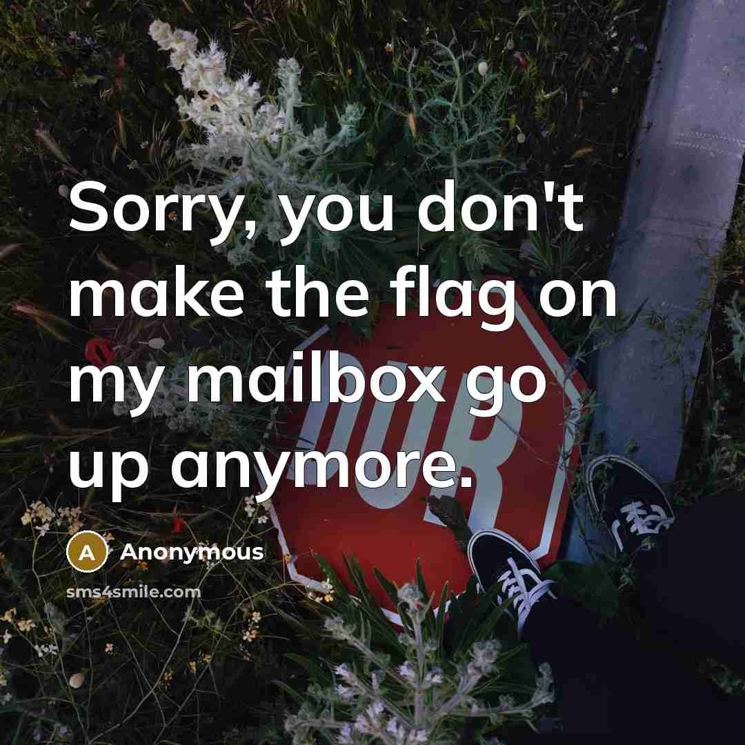 “Sorry, you don't make the flag on my mailbox go up anymore.” quote by Anonymous