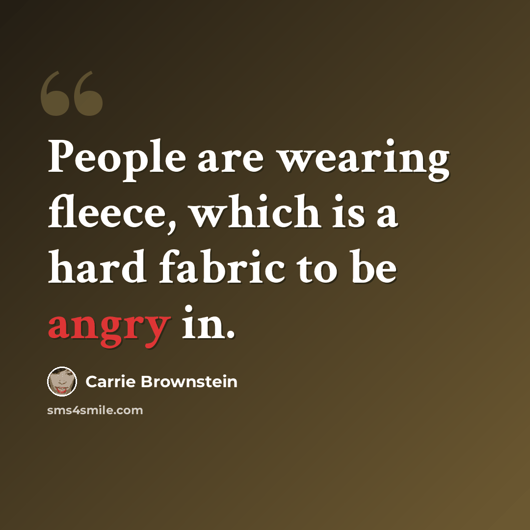 “People are wearing fleece, which is a hard fabric to be angry in.” quote by Carrie Brownstein