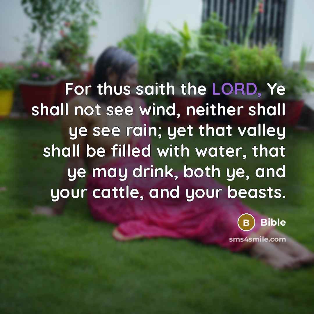 “For thus saith the LORD, Ye shall not see wind, neither shall ye see rain; yet that valley shall be filled with water, that ye may drink, both ye, and your cattle, and your beasts.” quote by Bible