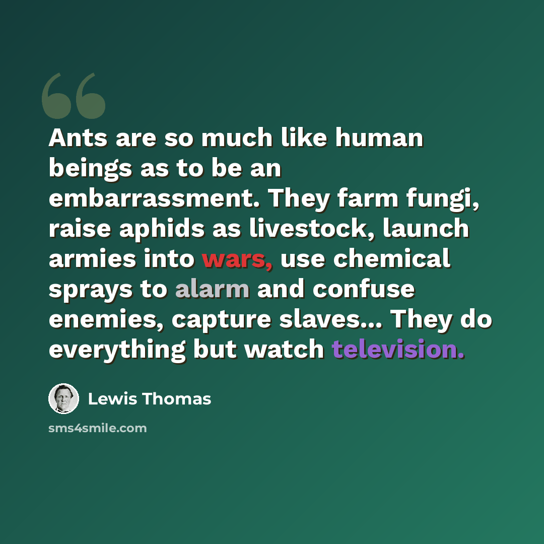 “Ants are so much like human beings as to be an embarrassment. They farm fungi, raise aphids as livestock, launch armies into wars, use chemical sprays to alarm and confuse enemies, capture slaves... They do everything but watch television.” quote by Lewis Thomas