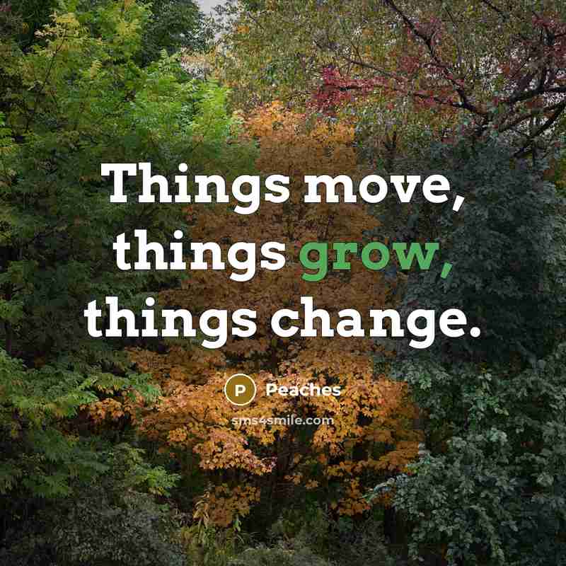 “Things move, things grow, things change.” quote by Peaches