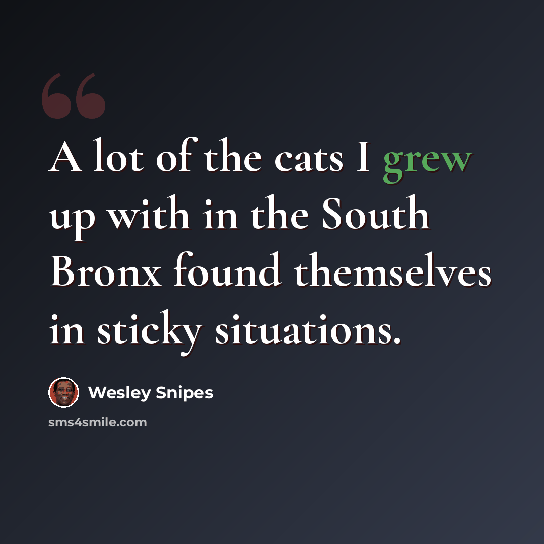 “A lot of the cats I grew up with in the South Bronx found themselves in sticky situations.” quote by Wesley Snipes