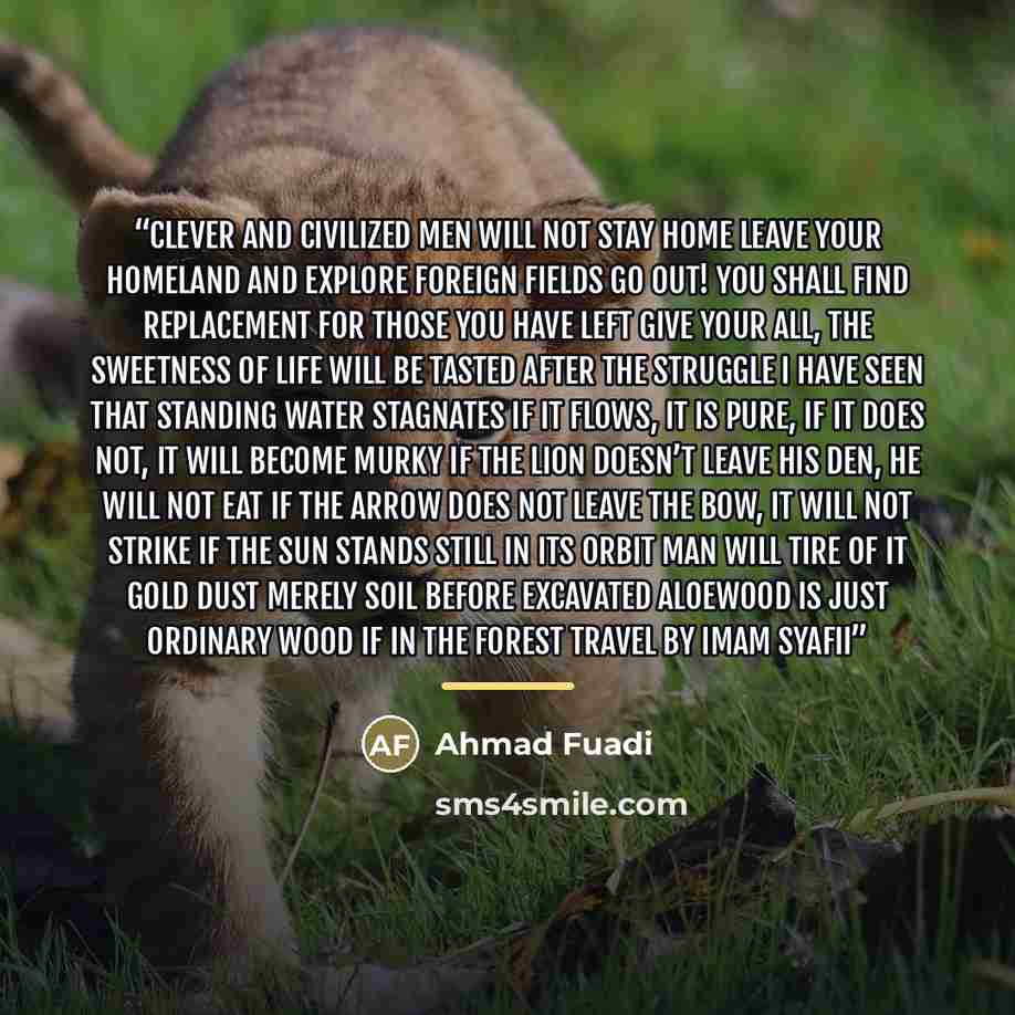 “Clever and civilized men will not stay home Leave your homeland and explore foreign fields Go out! You shall find replacement for those you have left Give your all, the sweetness of life will be tasted after the struggle I have seen that standing water stagnates If it flows, it is pure, if it does…” quote by Ahmad Fuadi