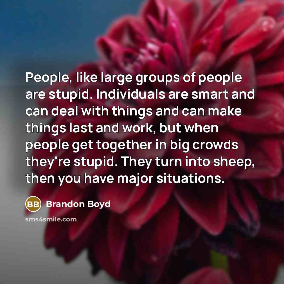 “People, like large groups of people are stupid. Individuals are smart and can deal with things and can make things last and work, but when people get together in big crowds they're stupid. They turn into sheep, then you have major situations.” quote by Brandon Boyd