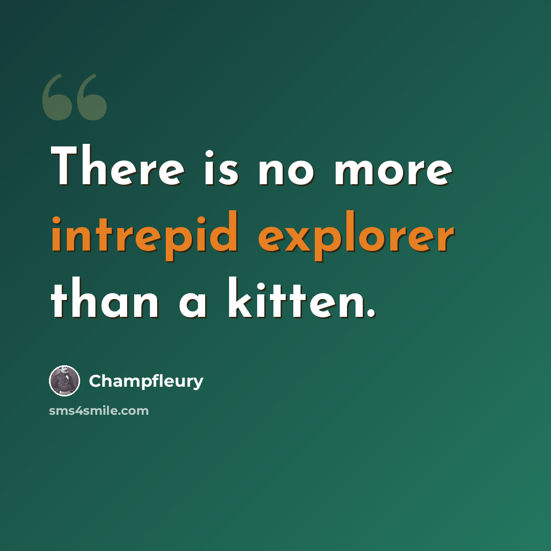 “There is no more intrepid explorer than a kitten.” quote by Champfleury