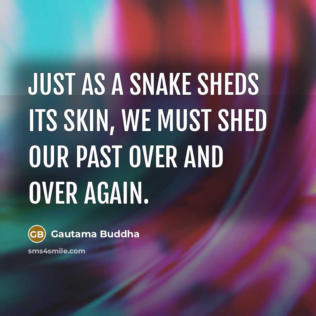 “Just as a snake sheds its skin, we must shed our past over and over again.” quote by Gautama Buddha