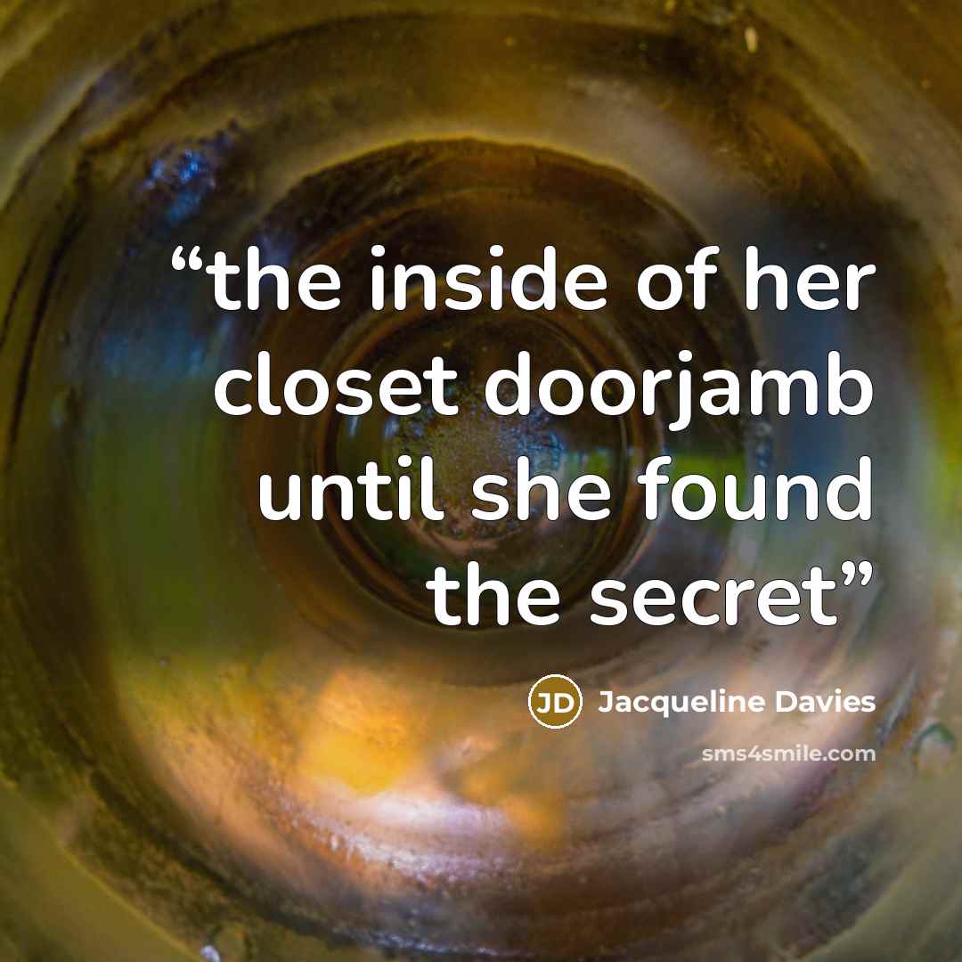 “the inside of her closet doorjamb until she found the secret” quote by Jacqueline Davies
