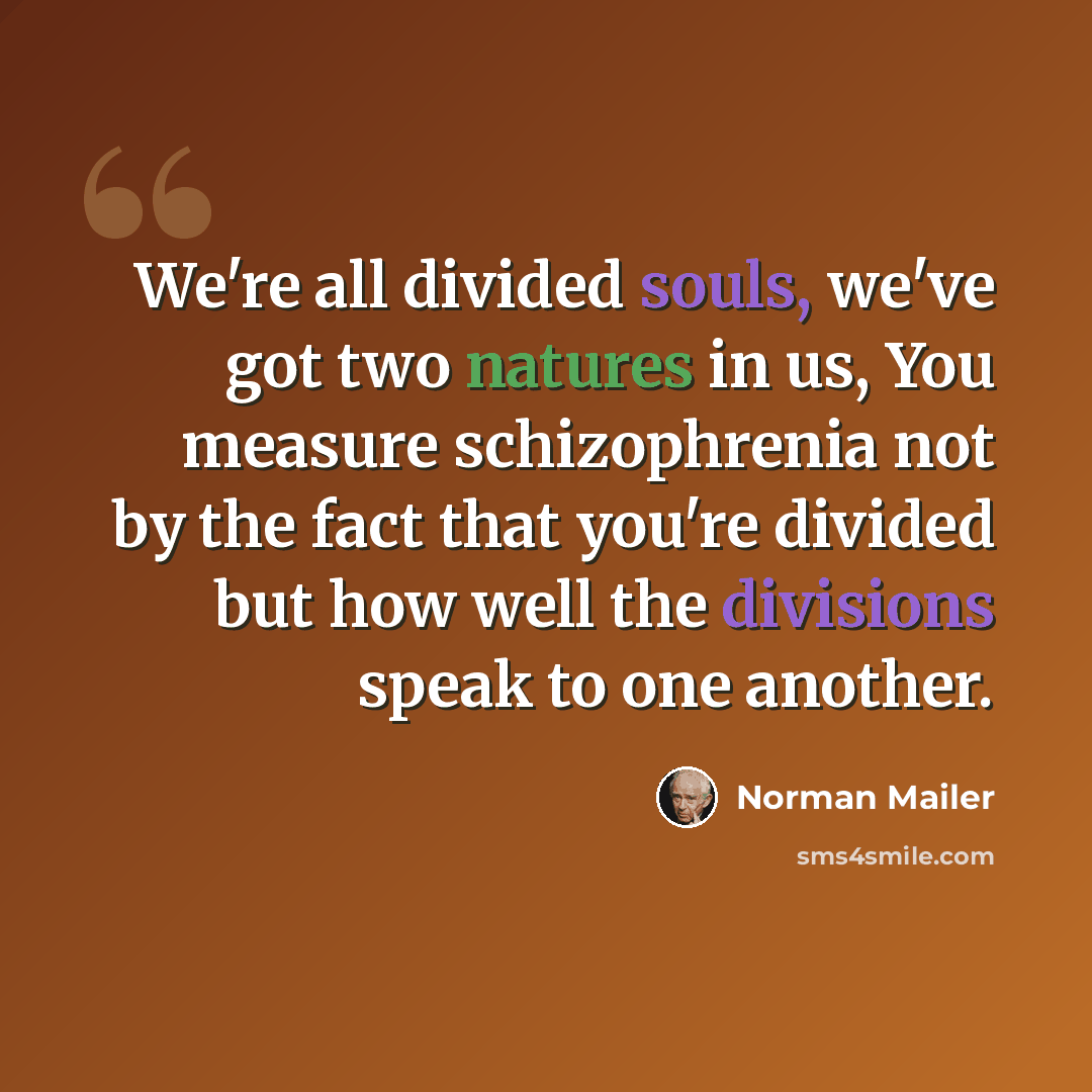 “We're all divided souls, we've got two natures in us, You measure schizophrenia not by the fact that you're divided but how well the divisions speak to one another.” quote by Norman Mailer