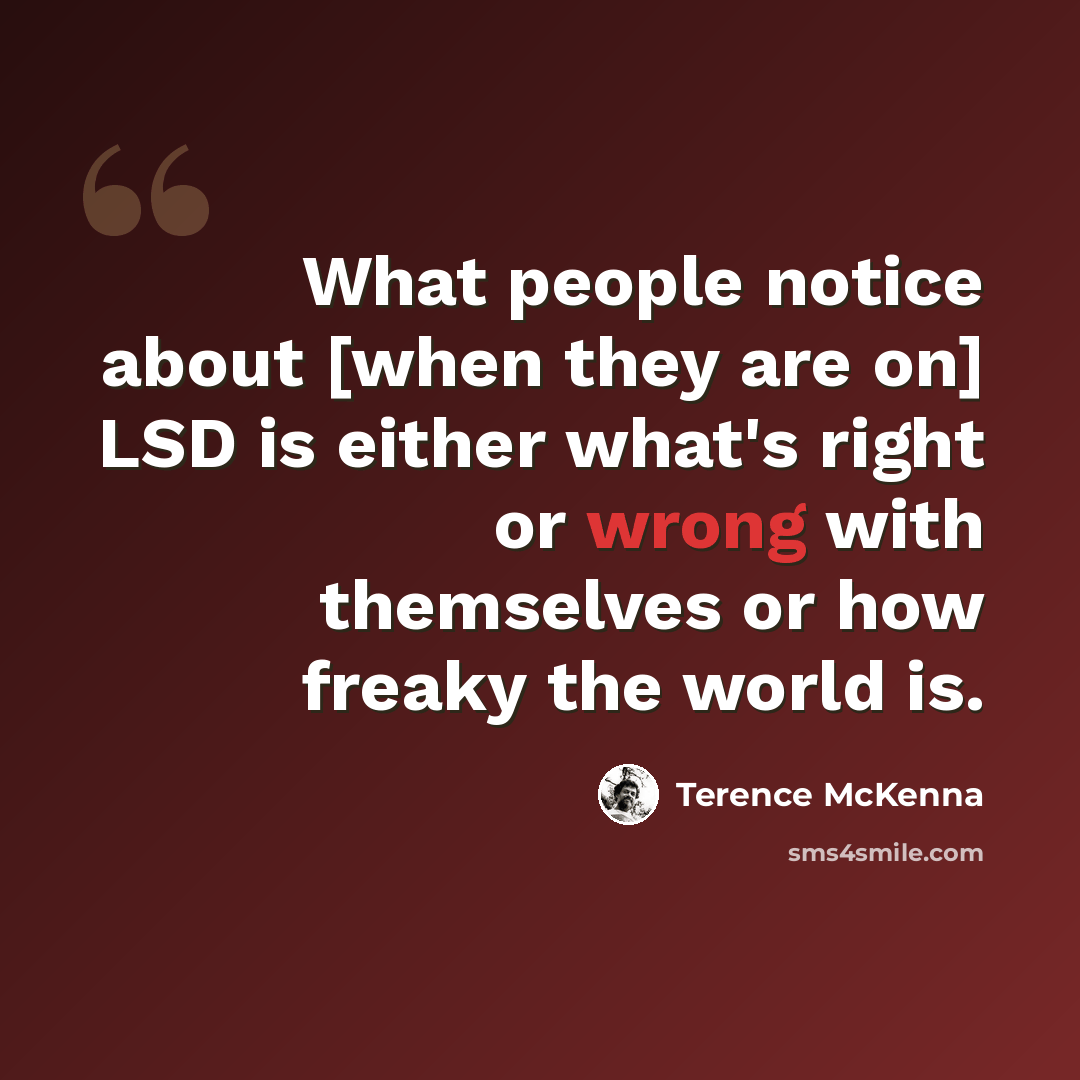 “What people notice about [when they are on] LSD is either what's right or wrong with themselves or how freaky the world is.” quote by Terence McKenna
