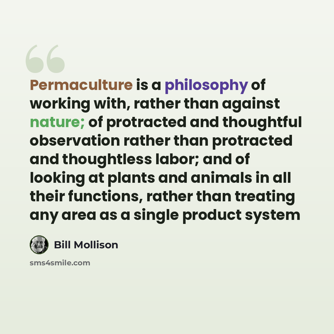 “Permaculture is a philosophy of working with, rather than against nature; of protracted and thoughtful observation rather than protracted and thoughtless labor; and of looking at plants and animals in all their functions, rather than treating any area as a single product system” quote by Bill Mollison