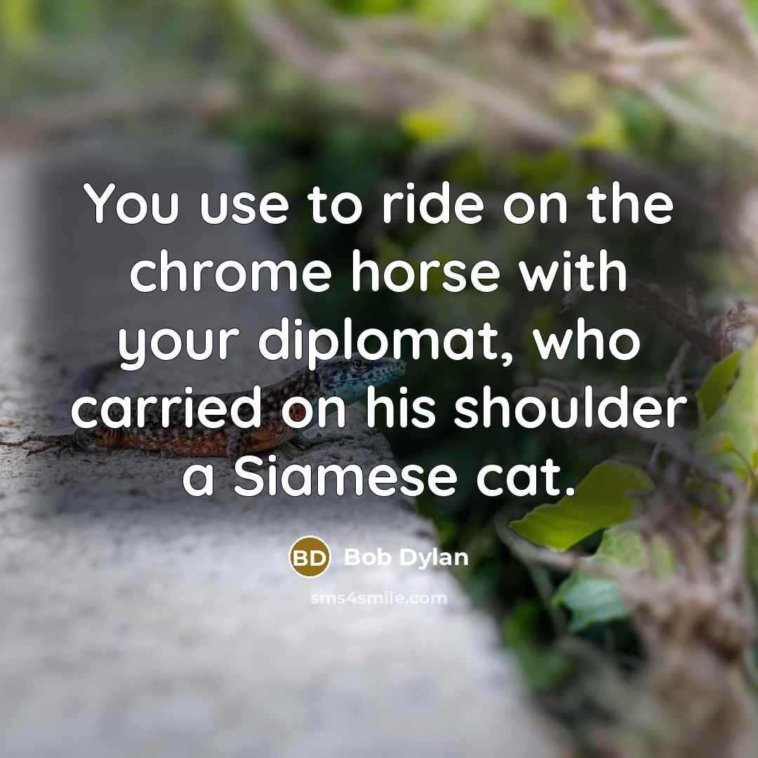 “You use to ride on the chrome horse with your diplomat, who carried on his shoulder a Siamese cat.” quote by Bob Dylan
