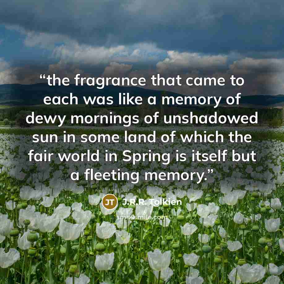 “the fragrance that came to each was like a memory of dewy mornings of unshadowed sun in some land of which the fair world in Spring is itself but a fleeting memory.” quote by J.R.R. Tolkien