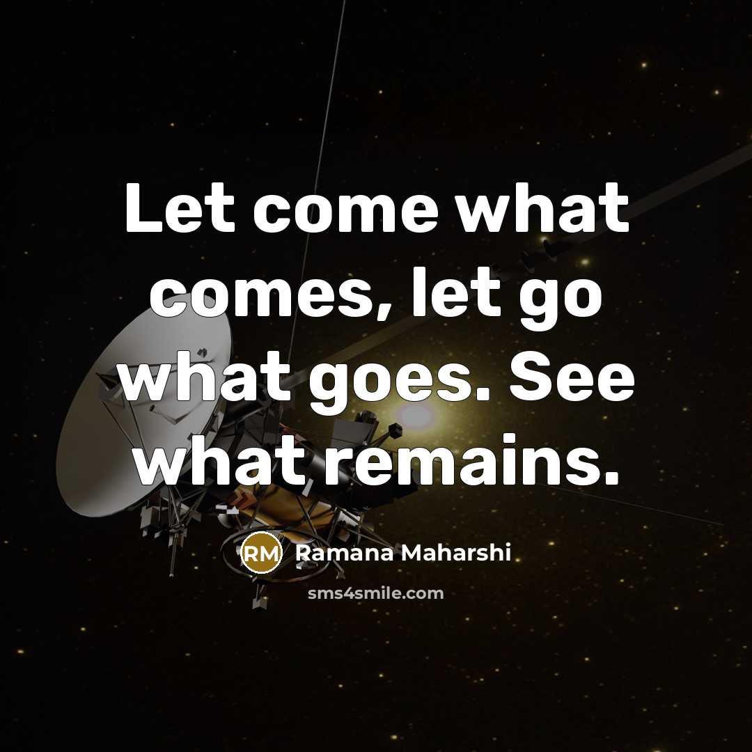 “Let come what comes, let go what goes. See what remains.” quote by Ramana Maharshi