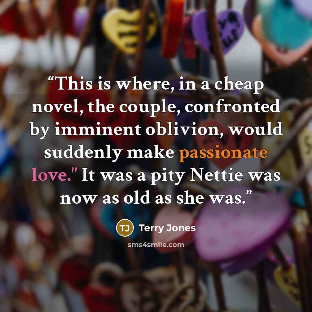 “This is where, in a cheap novel, the couple, confronted by imminent oblivion, would suddenly make passionate love." It was a pity Nettie was now as old as she was.” quote by Terry Jones