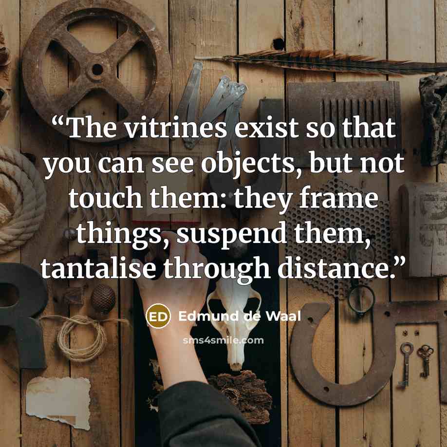 “The vitrines exist so that you can see objects, but not touch them: they frame things, suspend them, tantalise through distance.” quote by Edmund de Waal