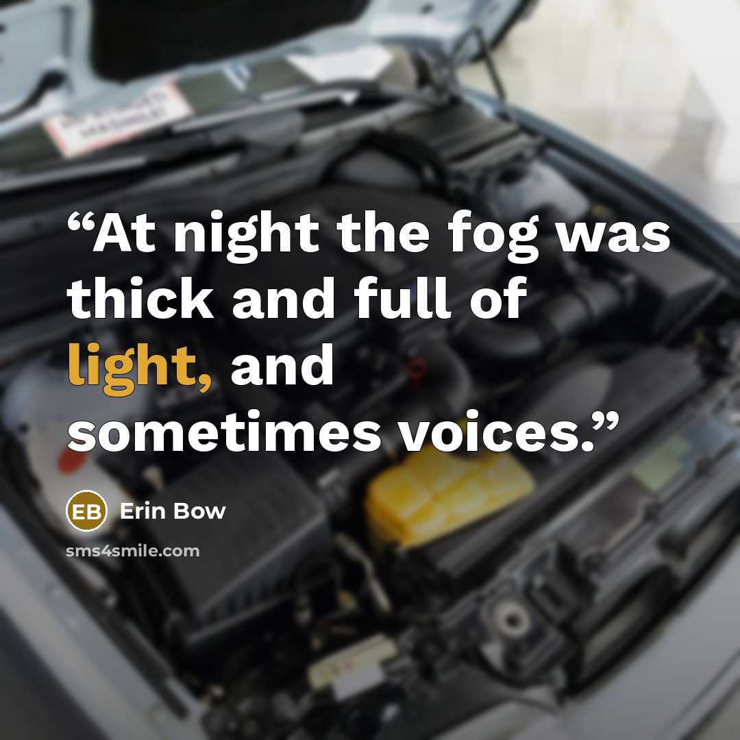 “At night the fog was thick and full of light, and sometimes voices.” quote by Erin Bow