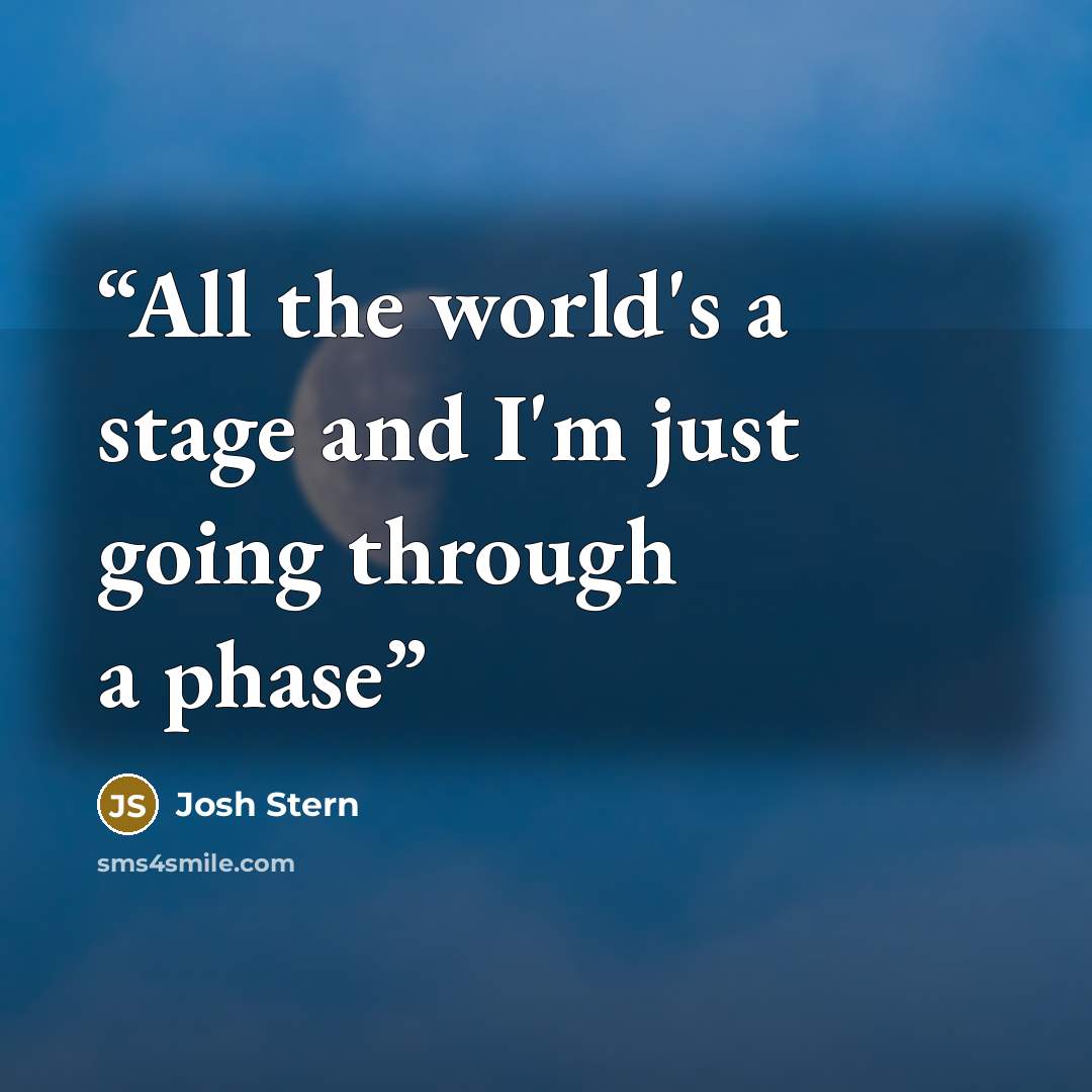 “All the world's a stage and I'm just going through a phase” quote by josh stern