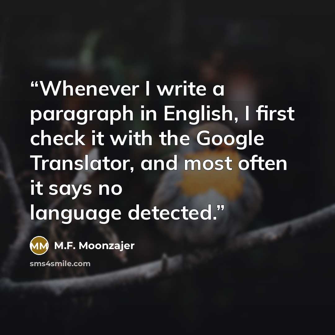 “Whenever I write a paragraph in English, I first check it with the Google Translator, and most often it says no language detected.” quote by M.F. Moonzajer