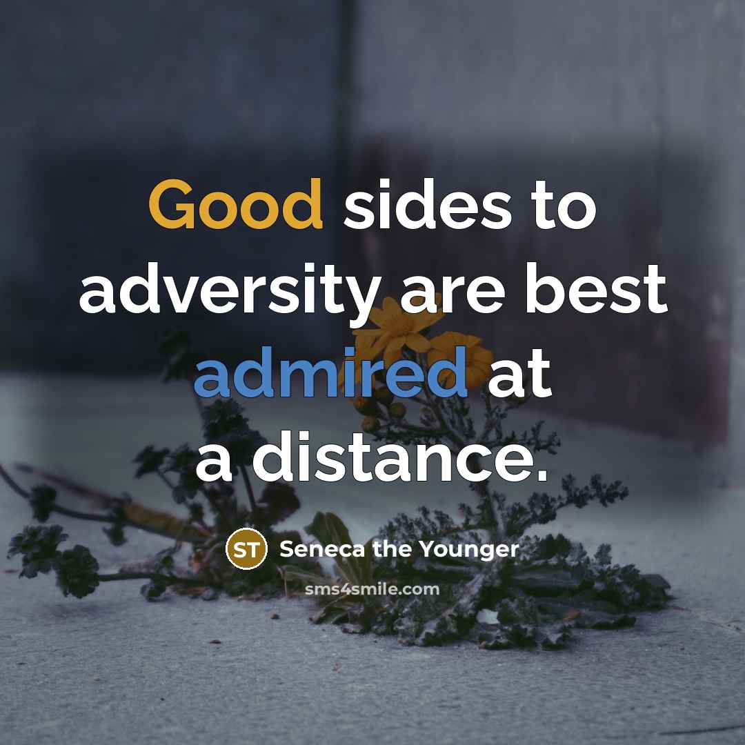 “Good sides to adversity are best admired at a distance.” quote by Seneca the Younger