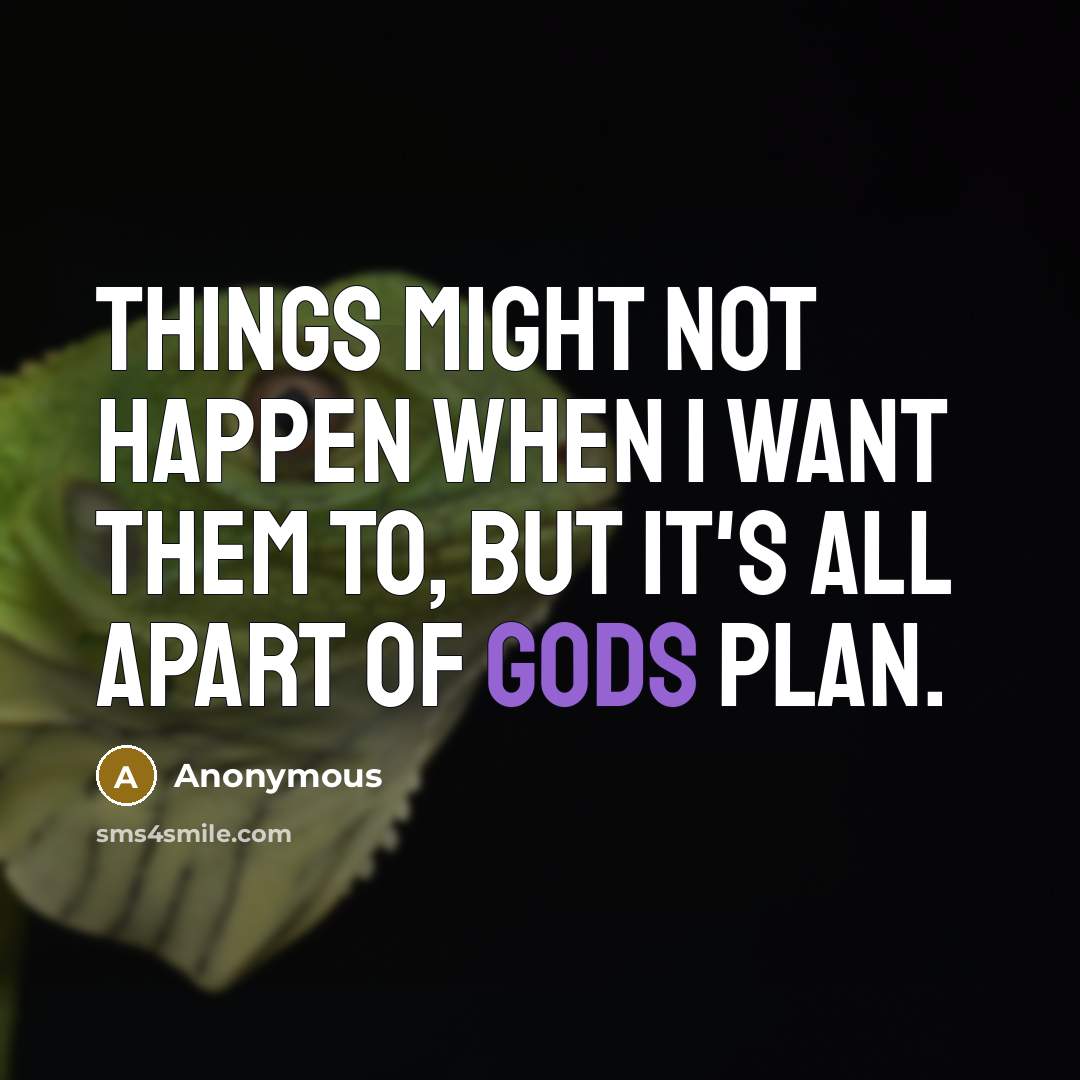 “Things might not happen when I want them to, but it's all apart of Gods plan.” quote by Anonymous