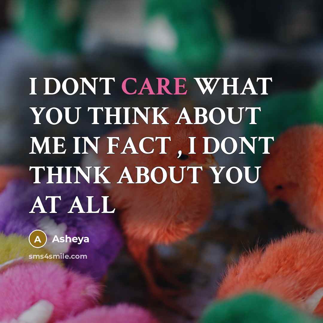 “I DONT CARE WHAT YOU THINK ABOUT ME IN FACT , I DONT THINK ABOUT YOU AT ALL” quote by Asheya