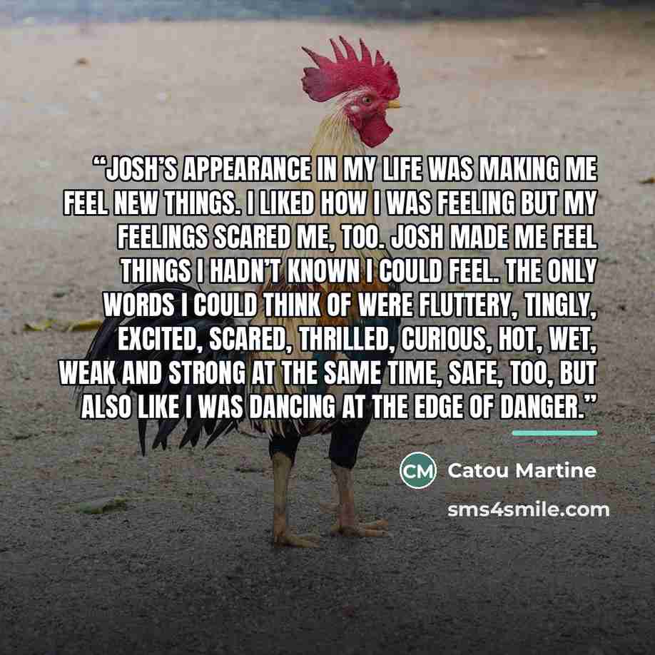 “Josh’s appearance in my life was making me feel new things. I liked how I was feeling but my feelings scared me, too. Josh made me feel things I hadn’t known I could feel. The only words I could think of were fluttery, tingly, excited, scared, thrilled, curious, hot, wet, weak and strong at the…” quote by Catou Martine