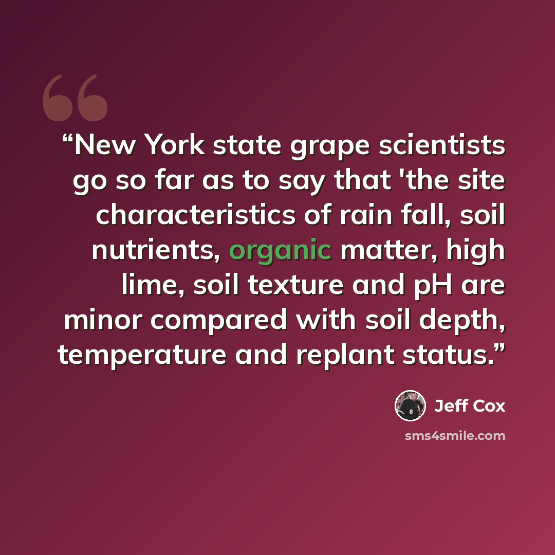 “New York state grape scientists go so far as to say that 'the site characteristics of rain fall, soil nutrients, organic matter, high lime, soil texture and pH are minor compared with soil depth, temperature and replant status.” quote by Jeff Cox