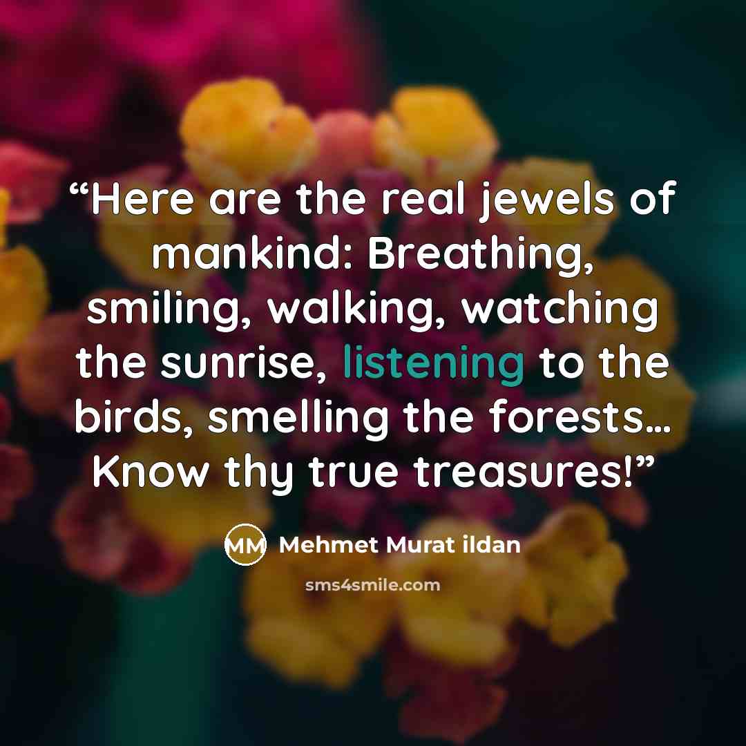 “Here are the real jewels of mankind: Breathing, smiling, walking, watching the sunrise, listening to the birds, smelling the forests… Know thy true treasures!” quote by Mehmet Murat ildan
