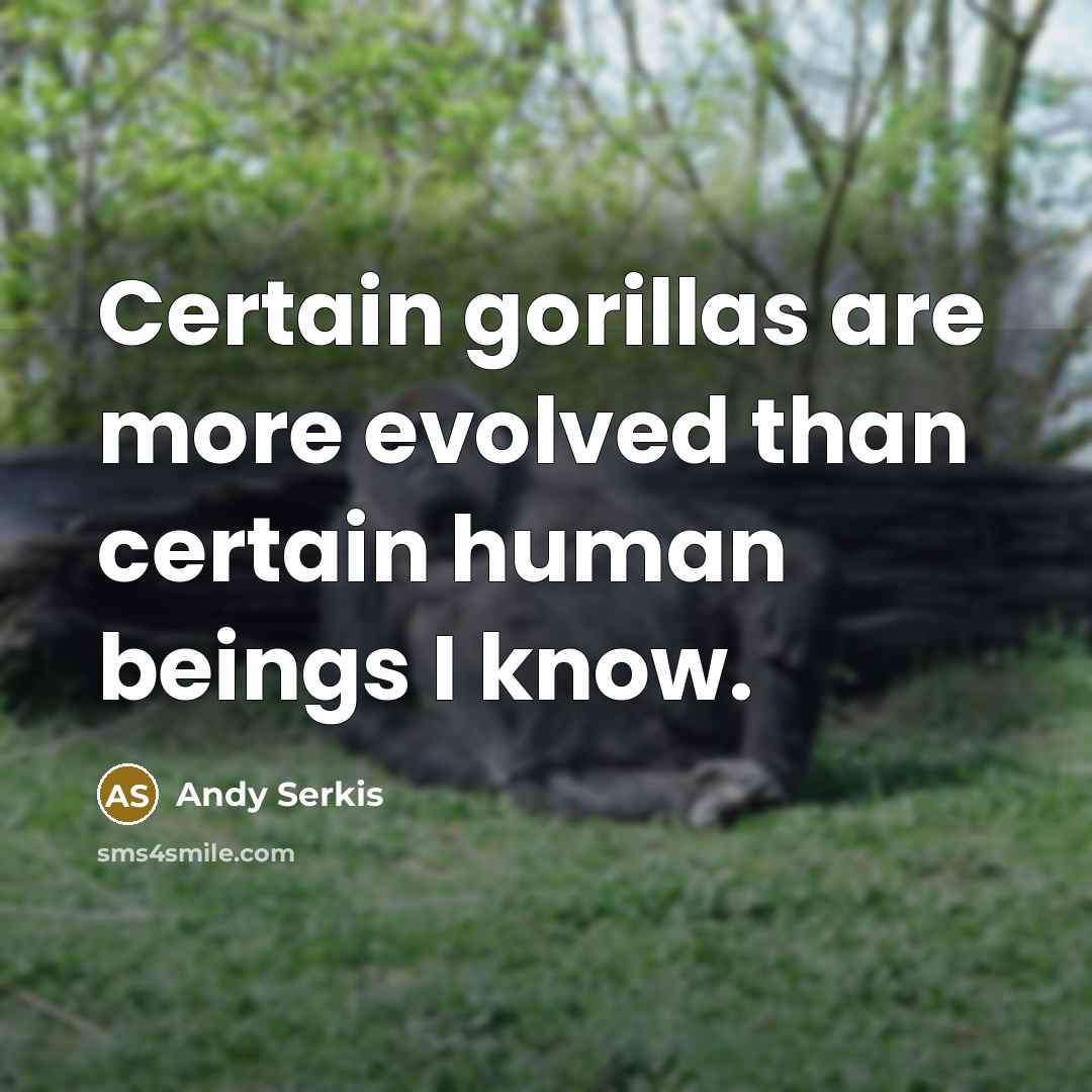 “Certain gorillas are more evolved than certain human beings I know.” quote by Andy Serkis