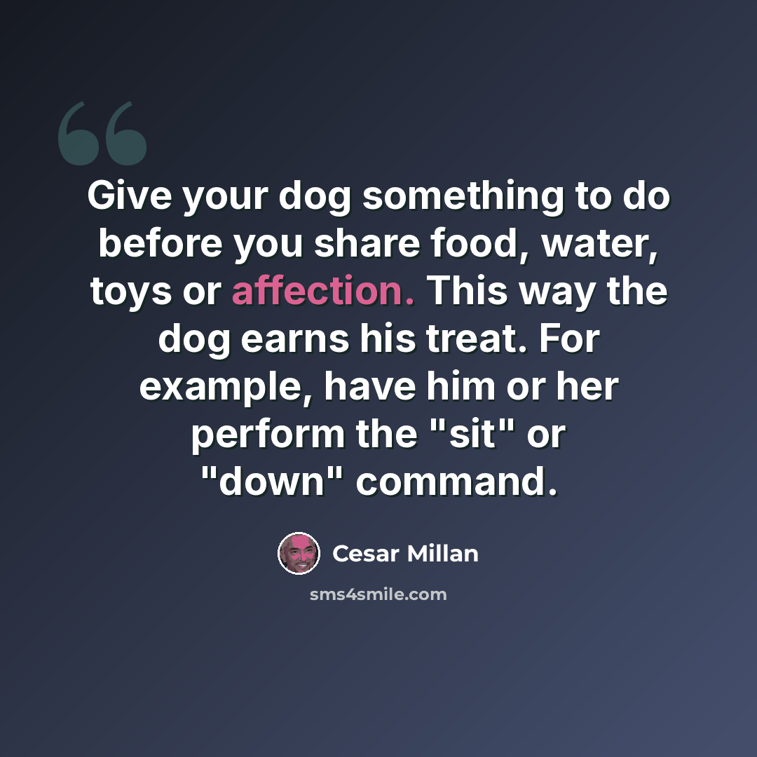 “Give your dog something to do before you share food, water, toys or affection. This way the dog earns his treat. For example, have him or her perform the "sit" or "down" command.” quote by Cesar Millan