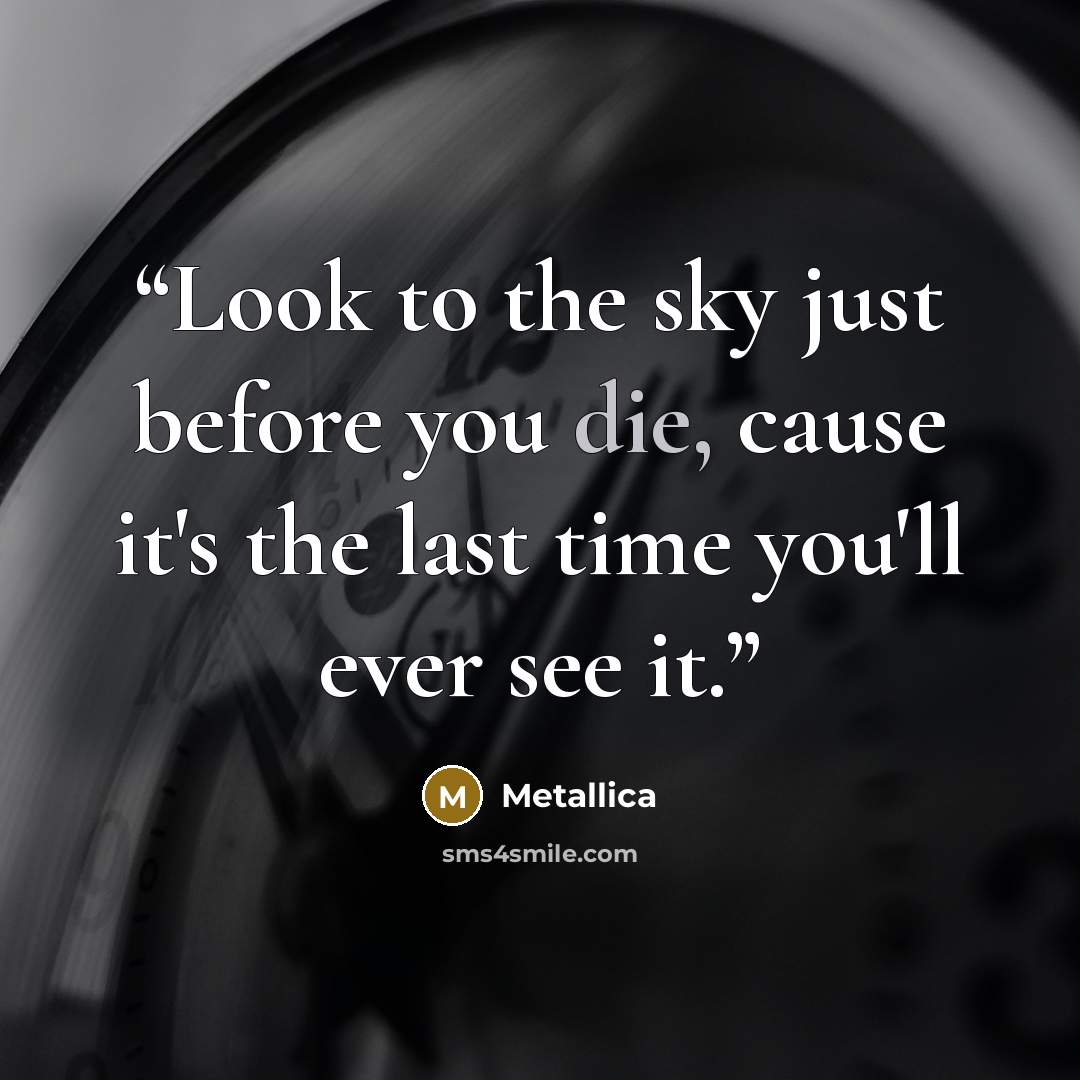 “Look to the sky just before you die, cause it's the last time you'll ever see it.” quote by Metallica