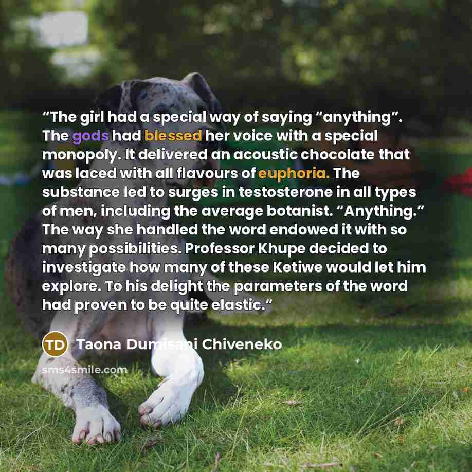 “The girl had a special way of saying “anything”. The gods had blessed her voice with a special monopoly. It delivered an acoustic chocolate that was laced with all flavours of euphoria. The substance led to surges in testosterone in all types of men, including the average botanist. “Anything.” The…” quote by Taona Dumisani Chiveneko