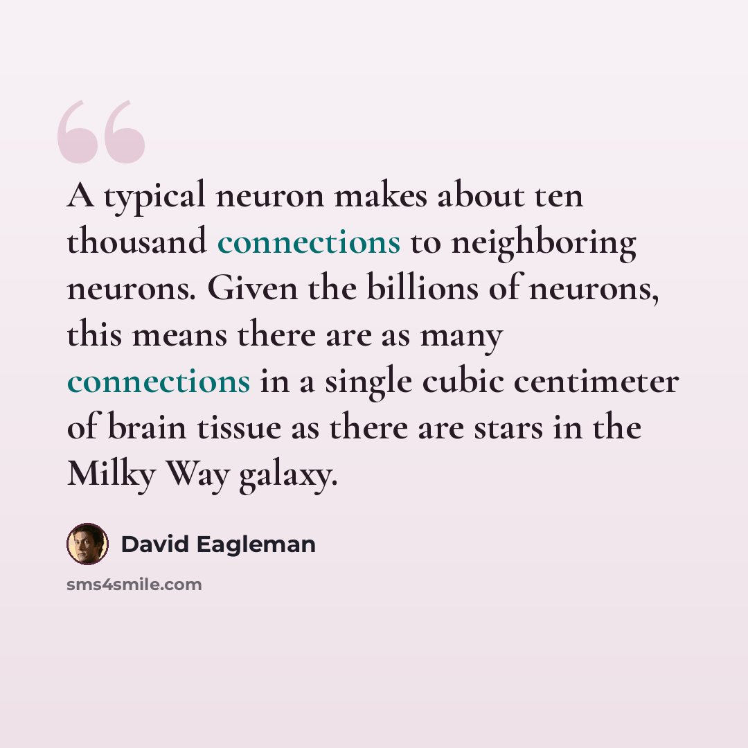 “A typical neuron makes about ten thousand connections to neighboring neurons. Given the billions of neurons, this means there are as many connections in a single cubic centimeter of brain tissue as there are stars in the Milky Way galaxy.” quote by David Eagleman