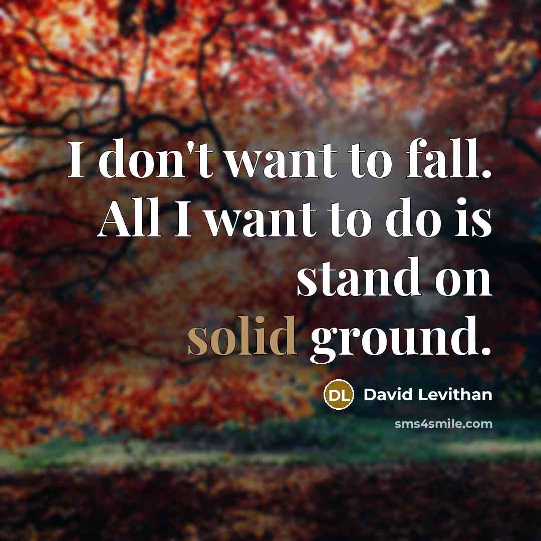 “I don't want to fall. All I want to do is stand on solid ground.” quote by David Levithan