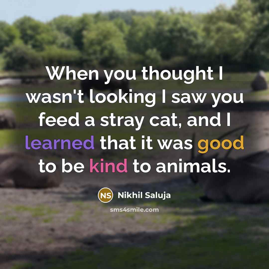 “When you thought I wasn't looking I saw you feed a stray cat, and I learned that it was good to be kind to animals.” quote by Nikhil Saluja