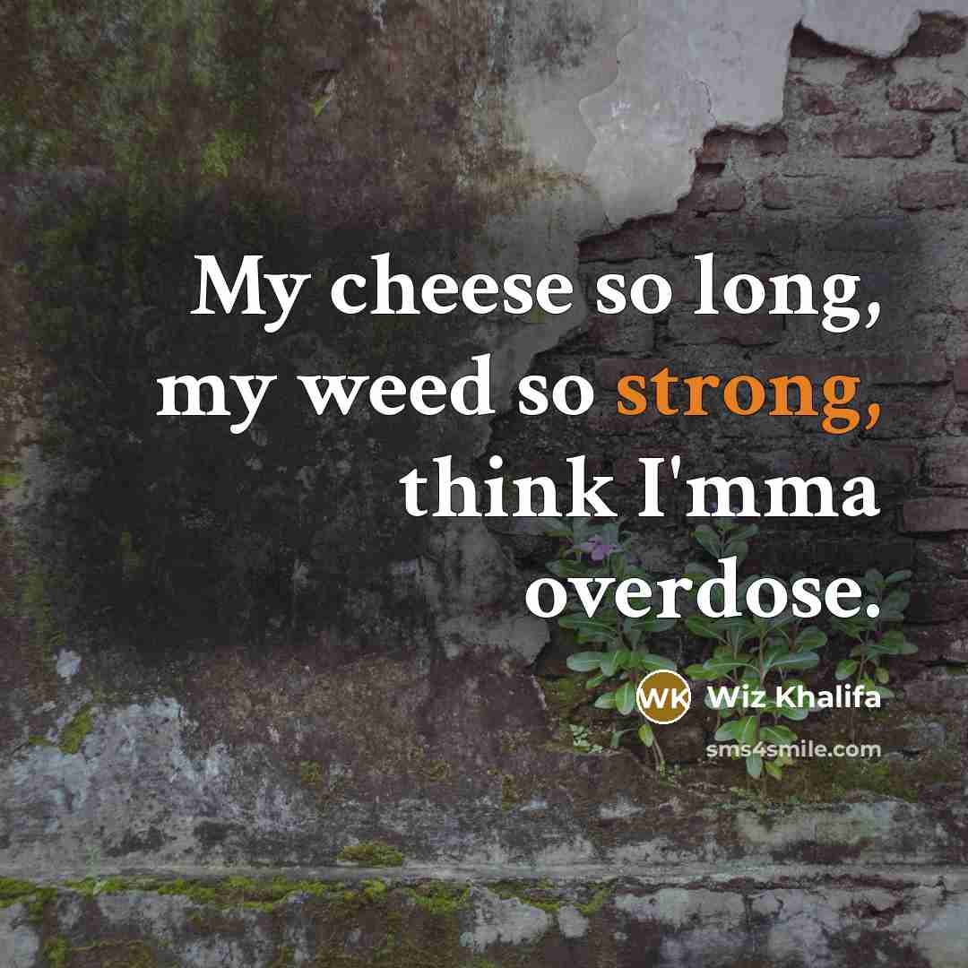 “My cheese so long, my weed so strong, think I'mma overdose.” quote by Wiz Khalifa