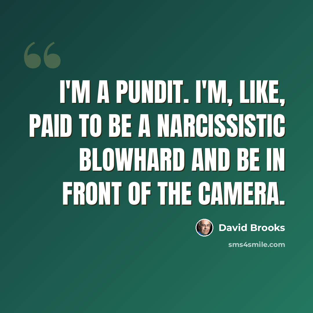 “I'm a pundit. I'm, like, paid to be a narcissistic blowhard and be in front of the camera.” quote by David Brooks
