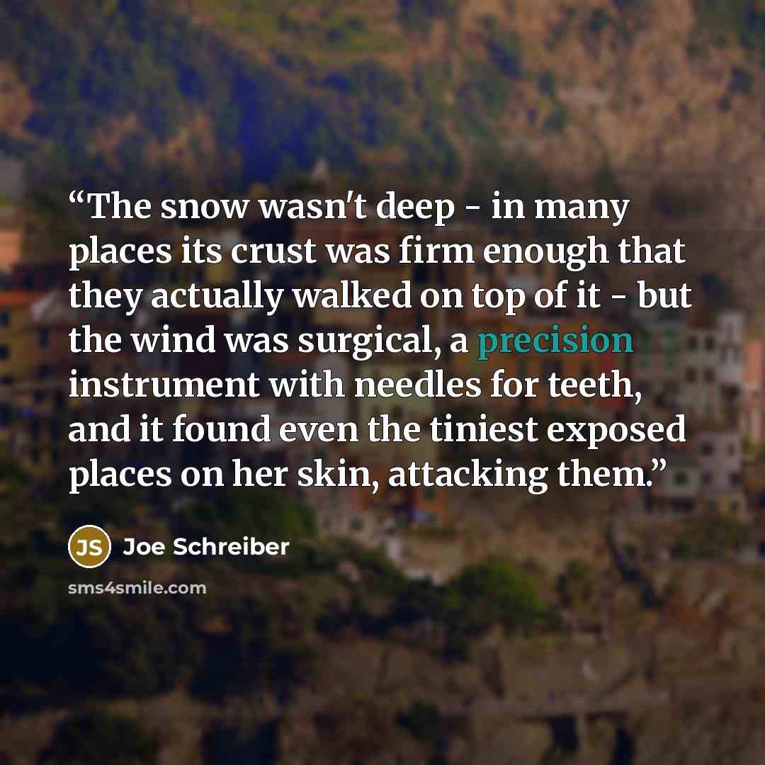 “The snow wasn't deep - in many places its crust was firm enough that they actually walked on top of it - but the wind was surgical, a precision instrument with needles for teeth, and it found even the tiniest exposed places on her skin, attacking them.” quote by Joe Schreiber