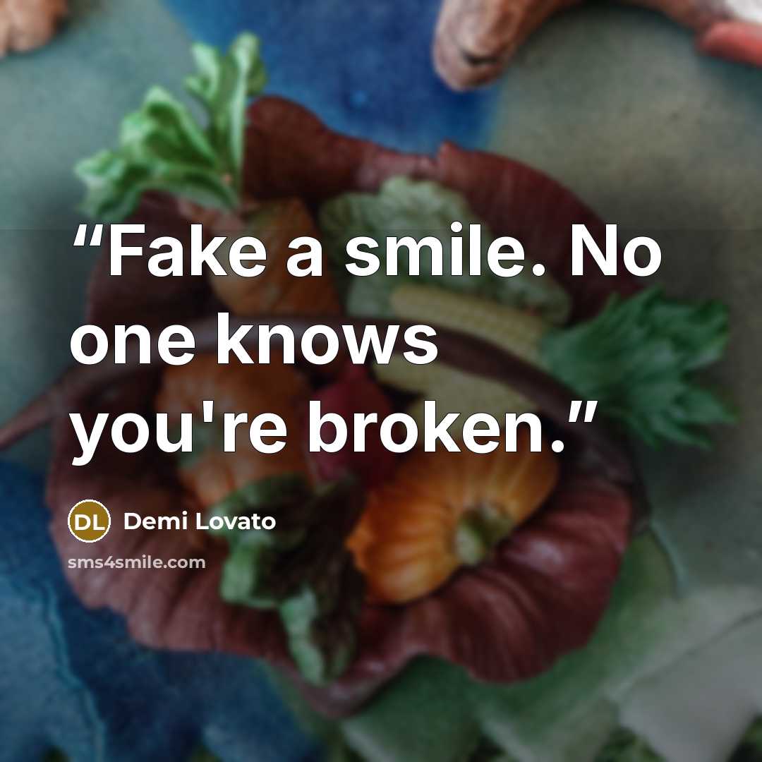 “Fake a smile. No one knows you're broken.” quote by Demi Lovato
