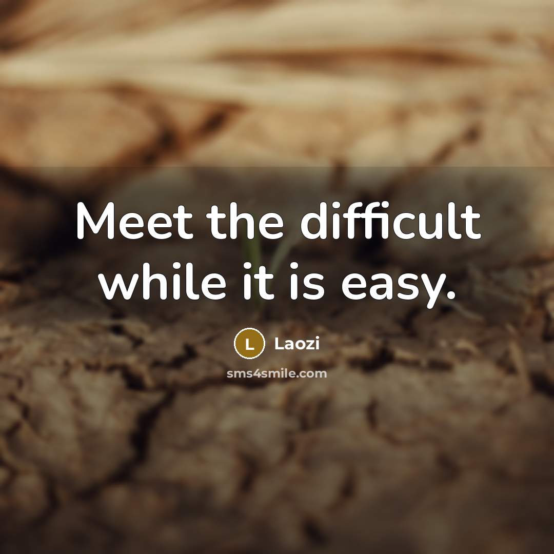 “Meet the difficult while it is easy.” quote by Laozi