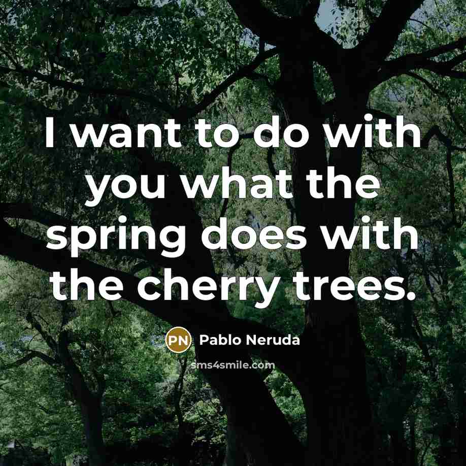 “I want to do with you what the spring does with the cherry trees.” quote by Pablo Neruda