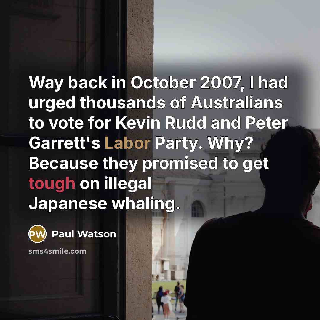 “Way back in October 2007, I had urged thousands of Australians to vote for Kevin Rudd and Peter Garrett's Labor Party. Why? Because they promised to get tough on illegal Japanese whaling.” quote by Paul Watson