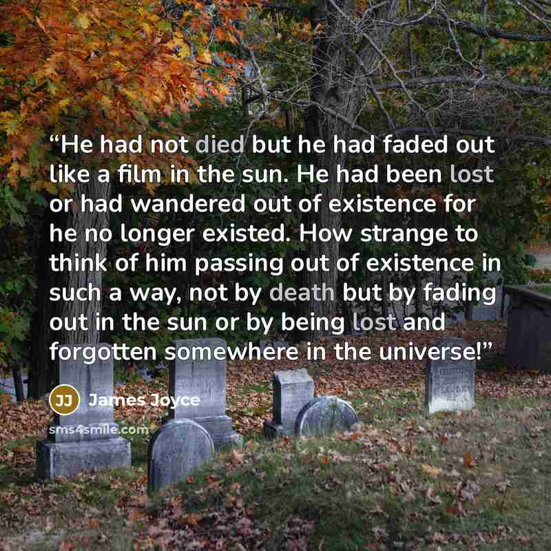 “He had not died but he had faded out like a film in the sun. He had been lost or had wandered out of existence for he no longer existed. How strange to think of him passing out of existence in such a way, not by death but by fading out in the sun or by being lost and forgotten somewhere in the…” quote by James Joyce