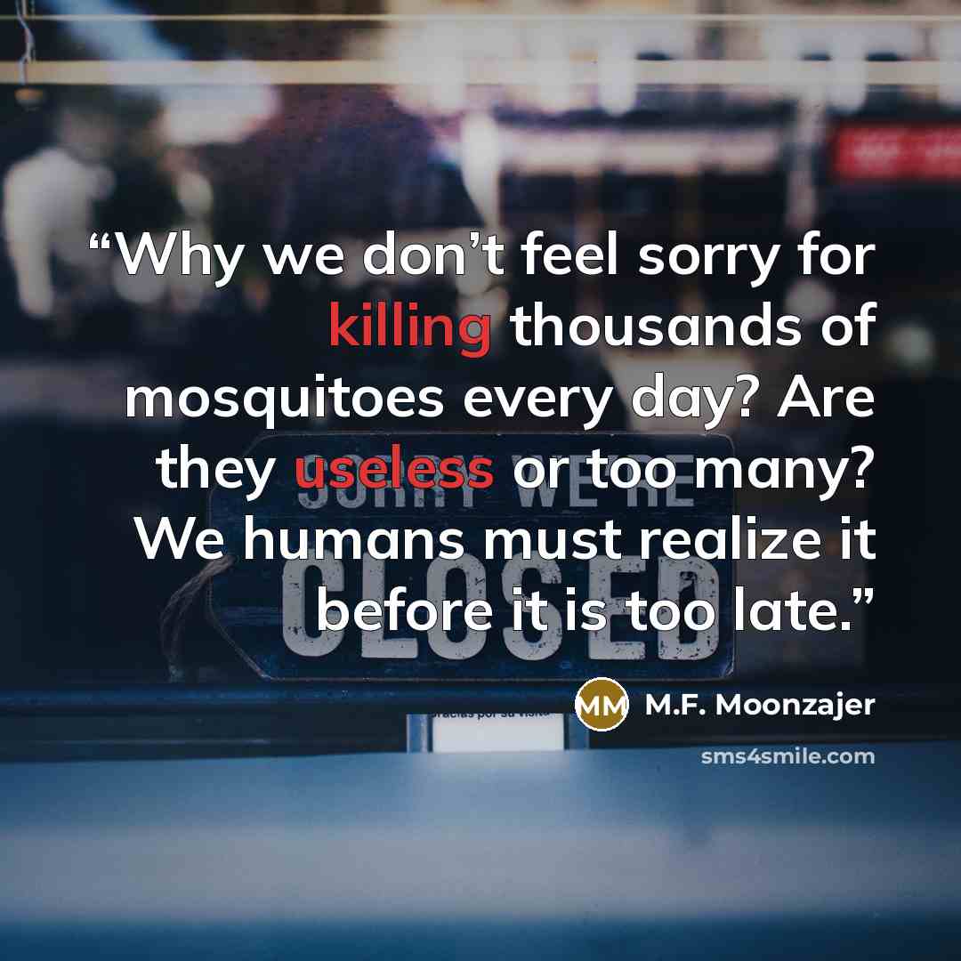 “Why we don’t feel sorry for killing thousands of mosquitoes every day? Are they useless or too many? We humans must realize it before it is too late.” quote by M.F. Moonzajer