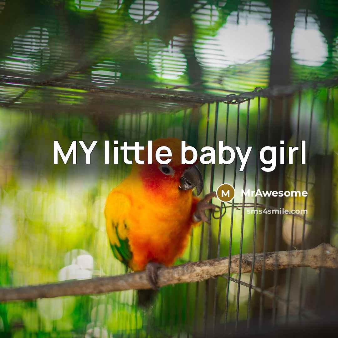 “MY little baby girl” quote by MrAwesome
