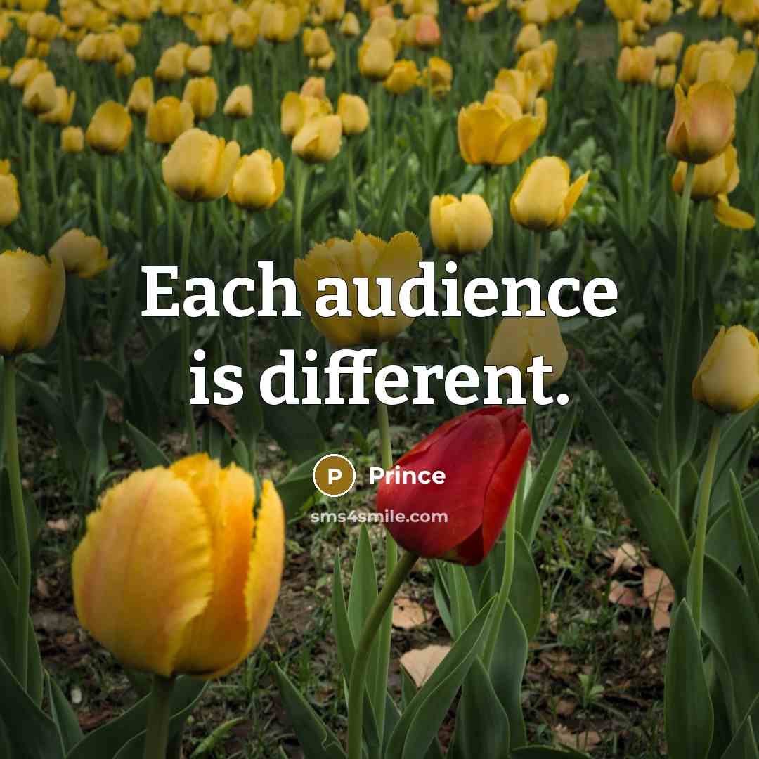 “Each audience is different.” quote by Prince