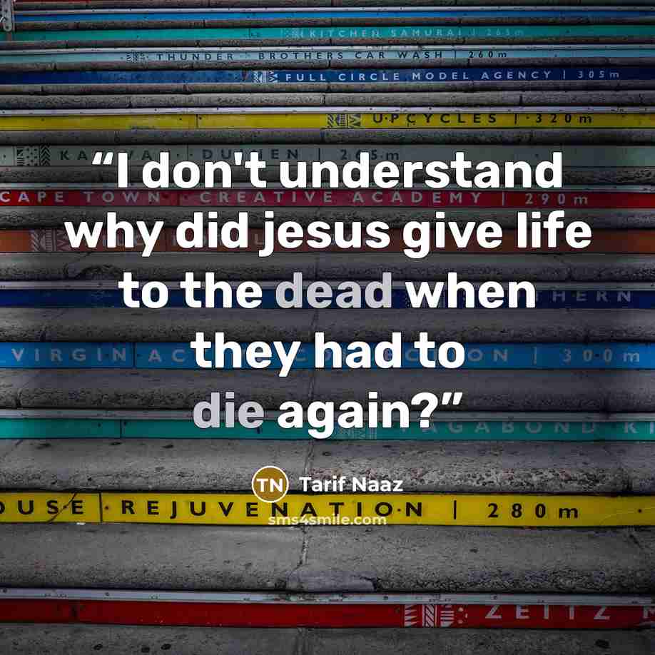 “I don't understand why did jesus give life to the dead when they had to die again?” quote by Tarif Naaz